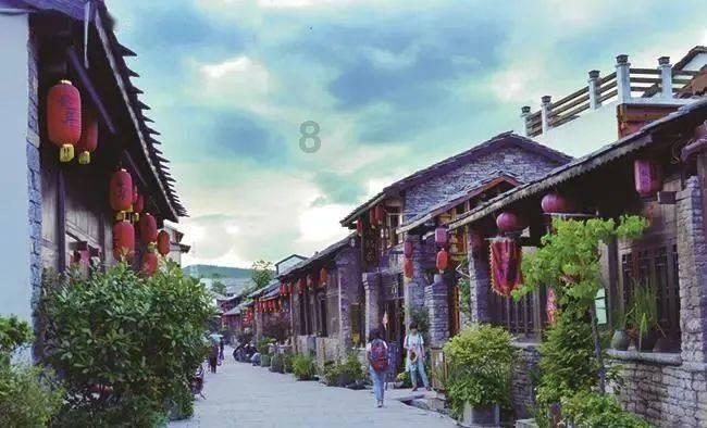 饿狮救援